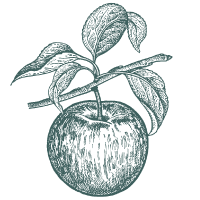 Home-Apfel