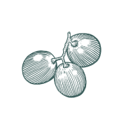 Trauben_800px